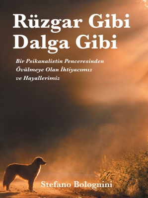 Rüzgar Gibi Dalga Gibi kitabı