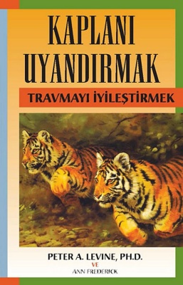 Kaplanı Uyandırmak kitabı